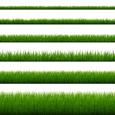 Green Grass Border Isolated White Background clipart