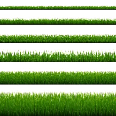 Green Grass Border Isolated White Background vector Green Grass Border Isolated White Background vector