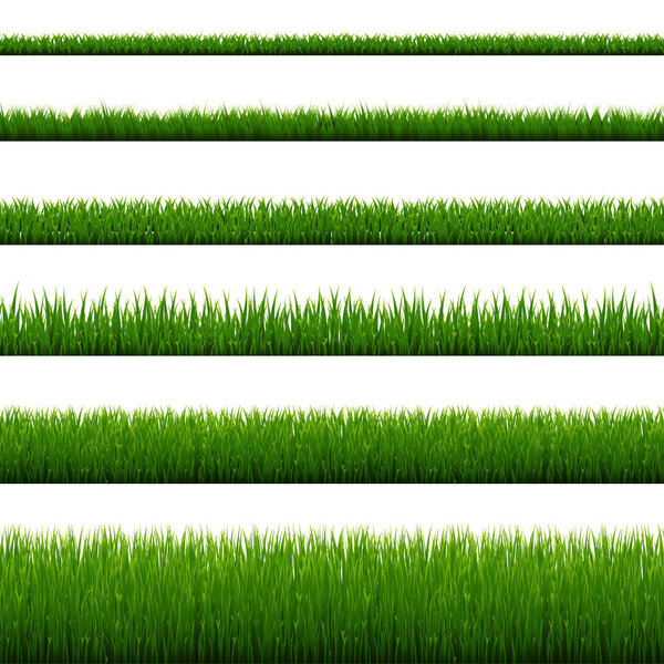 Green Grass Border Isolated White Background