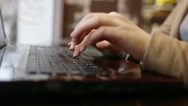 Portret van een jonge vrouw met behulp van slimme telefoon in een Cafe bij het raam. — Stockvideo