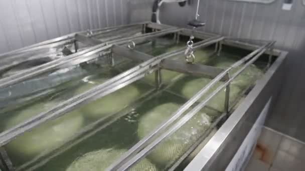 Une fromagerie. travailleur prépare juste des fromages faits pour assaisonner — Video