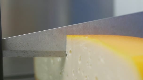 Machine de découpe de fromage à l'usine — Video