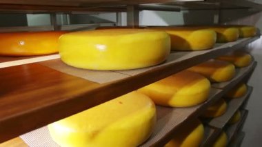 Hollanda peynir güzel başkanları ile birkaç raflar