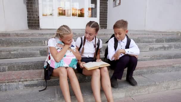 Kinder lesen auf dem Schulhof ein Schulbuch — Stockvideo