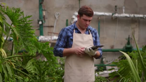 Homem agrônomo com tablet realiza inspeção de plantas em crescimento em estufa e coloca os indicadores . — Vídeo de Stock