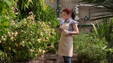 Tablet ile Agronomist kadın büyüyen bitkileri denetim yapar ve göstergeler koyar.