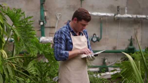 정제를 가진 농업학자 남자는 온실에 성장하는 식물의 검사를 실시하고 지표를 둔다. — 비디오