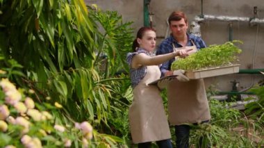 Tablet ile Agronomist kadın erkek bahçıvan ile konuşuyor ve büyüyen fide ler denetim yapar ve göstergeler koyar.