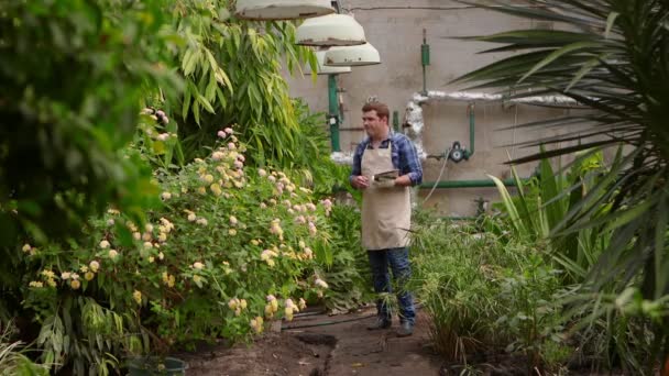Agronomist man med tablett utför inspektion av odling av växter på växthus och sätter indikatorerna. — Stockvideo