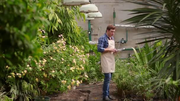 Agronómus férfi tabletta végez ellenőrzést a növekvő növények az üvegházhatást okozó és teszi a mutatók. — Stock videók