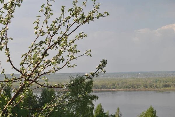 Велеколапія Гори Районі Сгар Бажання Збуваються — стокове фото