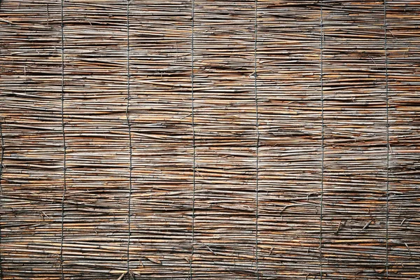 Textura Parede Cana Cerca Tradicional — Fotografia de Stock