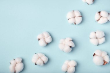 Mavi arka planda pamuk cıvatalar. Düz yatış, üst görünüm
