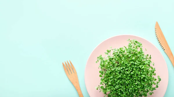 盘子里的小部分微绿色 饮食和减肥的概念 — 图库照片