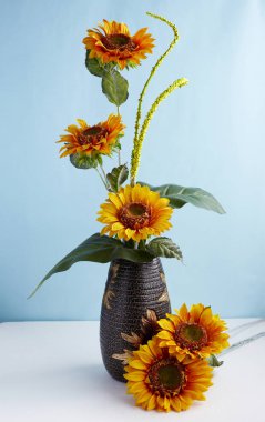 Closeup mavi duvar arka plan üzerinde renkli yaz çiçek