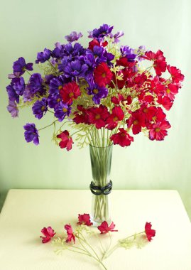 Closeup yeşil duvar arka plan üzerinde renkli yaz çiçek