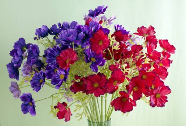 Closeup yeşil duvar arka plan üzerinde renkli yaz çiçek