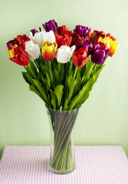 Lale buketi yeşil duvar arka plan üzerinde closeup