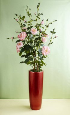 Closeup yeşil duvar arka plan üzerinde renkli yaz çiçek