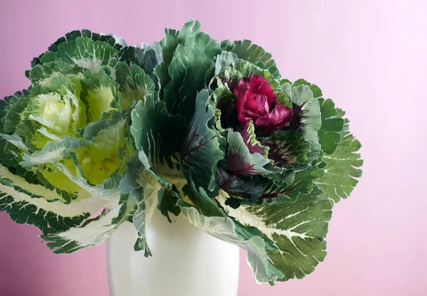 Closeup of vase with lettuce plant