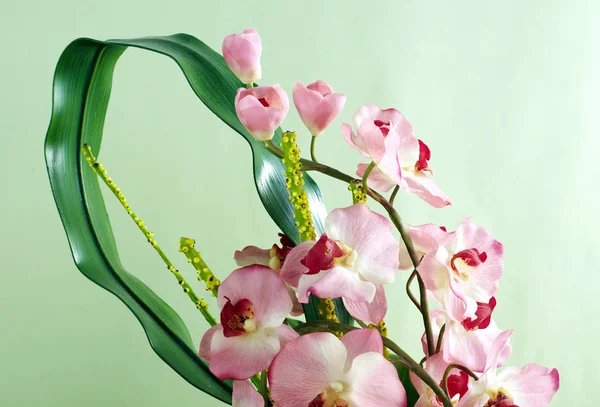 Detailní Barevné Letní Květy Zelené Zdi Pozadí — Stock fotografie