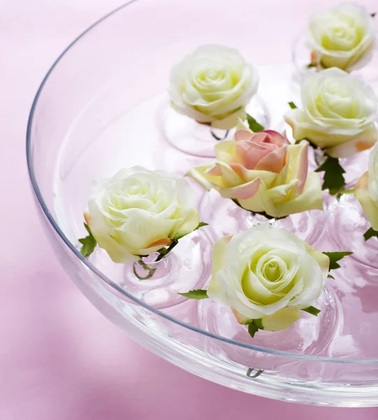Fechar Rosas Coloridas Sobre Fundo Rosa — Fotografia de Stock
