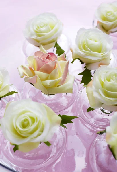 Zbliżenie Kolorowe Róże Różowym Tle — Zdjęcie stockowe