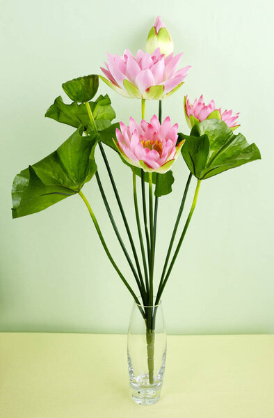 Крупный план цветущего цветка на светло-зеленом фоне
 