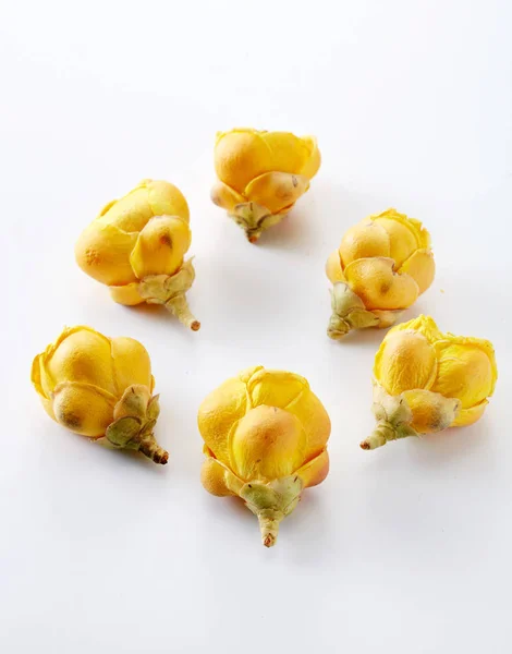 Primer Plano Flores Amarillas Secas Aisladas Sobre Fondo Blanco — Foto de Stock