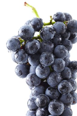 Beyaz arka plan üzerinde izole Olgun üzüm demet yakın çekim 