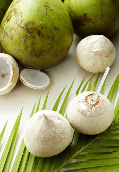 Detailní Záběr Různé Kokosy Palmovou Ratolestí Zelenými Listy — Stock fotografie