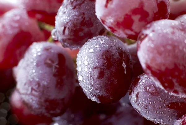 Close Water Drops Ripe Red Grapes — Stock Photo, Image