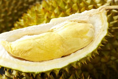 Olgun soyulmuş durian meyvesi yakın çekim