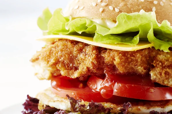 Closeup Meat Burger Isolated White Background — Stock Photo, Image