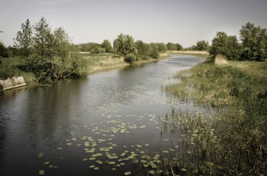 nehir viraj sonbahar sezonu