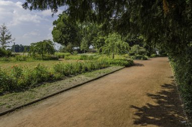 Ağaçlar ve çiçeklerle Dusseldorf, Almanya Rheinpark Golzheim Park'ta güneşli bir günde bir yol yanında.