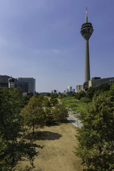Ağaçlar Ren kule Drachen Steigen Lassen Platz, Dusseldorf, Almanya alanında önde gelen bir yol boyunca bir çizgi.