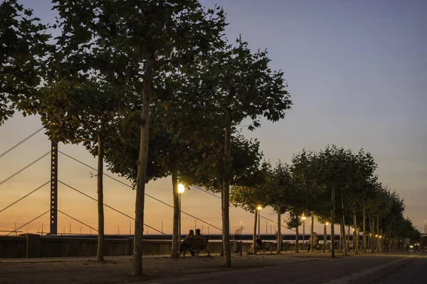 A pedestrian street lined with trees and street lights at dusk in Dusseldorf, Germany.