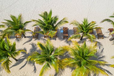 Beyaz kumsaldaki tropikal palmiye ağaçlarının havadan görünüşü