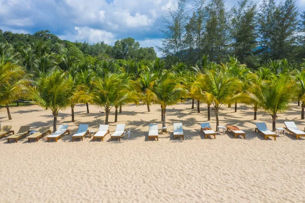 Beyaz kumsaldaki palmiye ağaçlarının güzel manzarası. — Stok fotoğraf