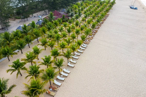 Indrukwekkend uitzicht vanuit de lucht op de palmplantage op het strand — Stockfoto