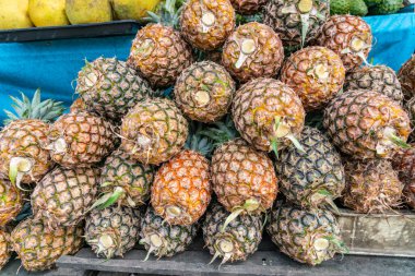 Piyasadaki meyve standında satılık ananas yığını.