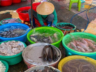 Vietnamese woman wearing conical hat selling fish at outdoor market