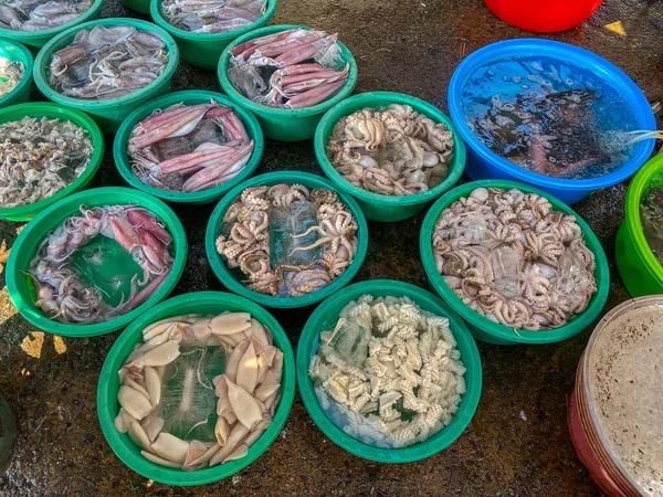 월남의 야외 해산물 시장에서 파는 분류 된 오징어 — 스톡 사진