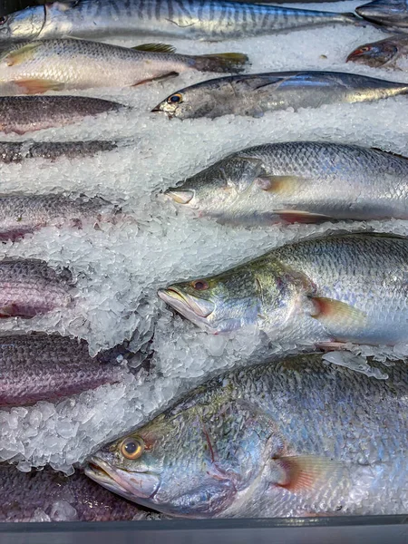 Vertical photo of frozen fish at the seafood store