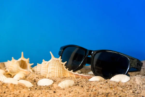 minimalist background representing the summer with snails clams goggles and sand on celestial