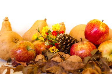 Kabak ve elma sonbahar hasat kompozisyonu