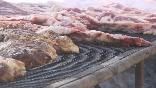 Carne Asada Parrilla Pollo Vaca Cerdo Típico Gastronomía Argentina — Vídeos de Stock