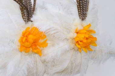 beyaz ve sarı tüyleri geri Karnaval için