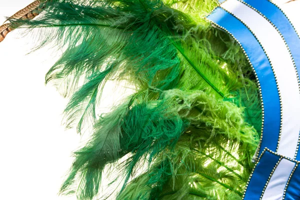 back feathers and embroidery of carnival with the Argentine flag